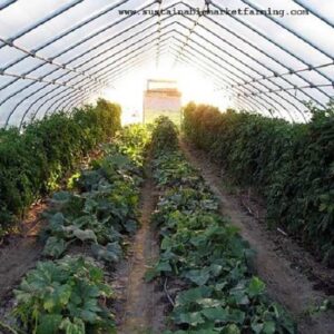 Hoophouse Vegetable Crop Rotations Image